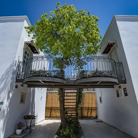 Manzara Boutique - Adults Only 호텔 Bodrum