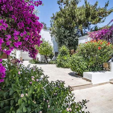 Manzara Boutique - Adults Only 호텔