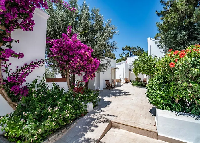 Manzara Boutique - Adults Only Hotel Bodrum