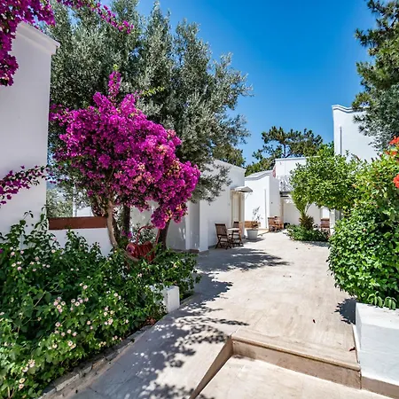 Manzara Boutique - Adults Only Ξενοδοχείο Αλικαρνασσός