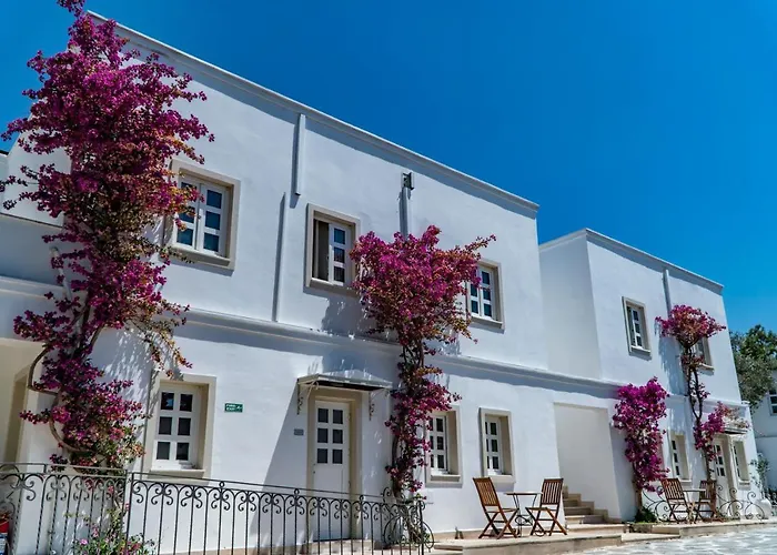 Manzara Boutique - Adults Only